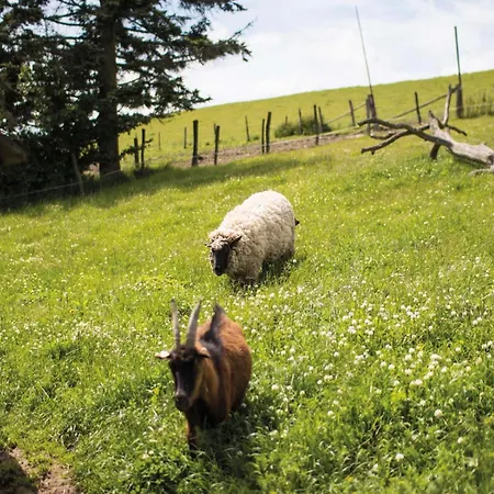 Berghof Steimel Apartment