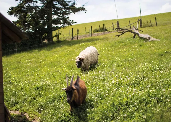 Berghof Steimel Διαμέρισμα